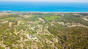 an aerial view of a forested area near the ocean at Hotel Rio Molas in Muravera