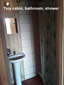 La salle de bains est pourvue d'un lavabo et d'une douche. dans l'établissement karukinka, à Chonchi