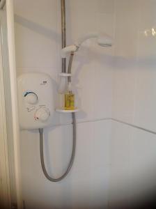 a shower in a bathroom with a shower head at Lower Pinn Farm in Sidmouth