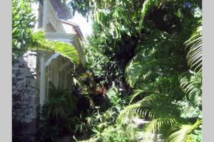 un giardino con palme e un edificio di Villa CASE LONTAN Saint Gilles les Bains a Saint-Gilles-les Bains Altre 5 foto
