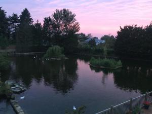 a pond with swans in the water at sunset at Lakeside Old Hunstanton in Hunstanton