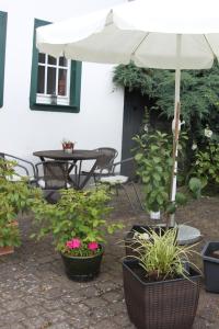 Zahrada ubytování Ferienhaus Eifelperle
