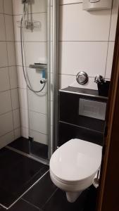a bathroom with a toilet and a shower at Winterberg-Hasewinkel in Winterberg +11 photos
