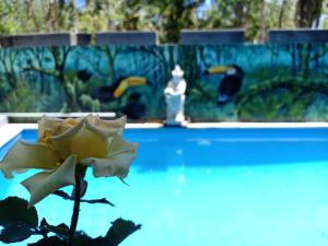 Piscina di The Puncak Santhi Inn o nelle vicinanze