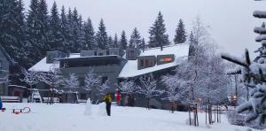 Harrachov Resident Apartments "Terrace & Chill" - high speed WiFi, možnost snídaně, Smart TV, Netflix, Disney plus v zime