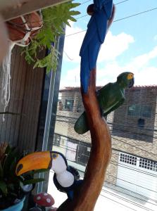 a wooden statue of a parrot on a tree at Florcamará POUSADA in Camaragibe