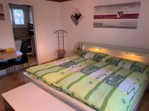 ein Schlafzimmer mit einem Bett mit einer grünen Bettdecke in der Unterkunft El's Guesthouse in Bannwil