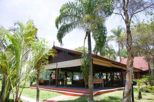 a house with a palm tree in front of it at Casa de Campo Magnifica in Piracicaba