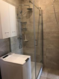a shower with a glass door and a toilet in a bathroom at Summer Home No. 8 in Fažana +18 photos