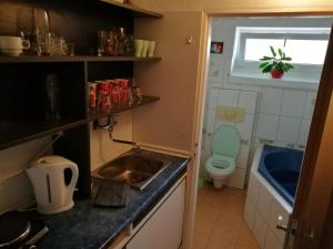 uma pequena cozinha com um lavatório e um WC em A+R Pension em Plzeň