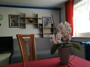 Posezení v ubytování A+R Pension