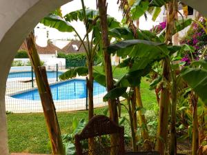 a garden with a pool in the background at Elegant apartment in Puerto Banus in Marbella
