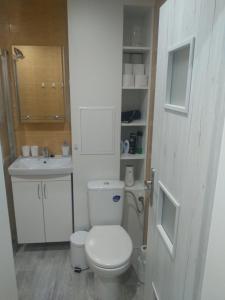 małą łazienkę z toaletą i umywalką w obiekcie Apartment Nina w mieście Lubowla