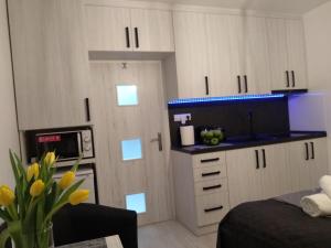 a kitchen with white cabinets and a counter top at Apartment Nina in Stará Ľubovňa