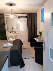 a hotel room with a bed and a table and a couch at Apartment Nina in Stará Ľubovňa