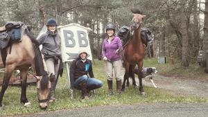 Horseback riding at a panziókat or nearby