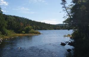 a river with some rocks in the water and trees at Princehaven Campground in Princeton