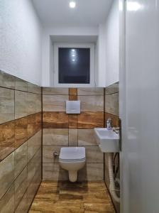 a bathroom with a toilet and a sink and a tv at Apartman Archy in Sarajevo