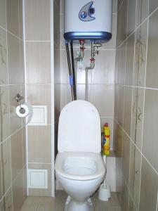 ニジニ・ノヴゴロドにあるApartment on Proviantskayaのバスルーム(水槽付きトイレ付)