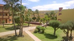 Un patio con palmeras y un edificio. en Casa Mar y Dunas, en Parque Holandes