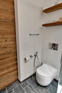 ツェエリーナにあるChesa Laura - Celerinaのバスルーム(白いトイレ、シャワー付)