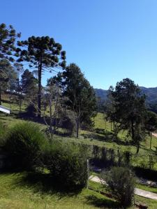 uitzicht op een veld met bomen en struiken bij Um lugar para curtir, descansar e amar! in Campos do Jordão