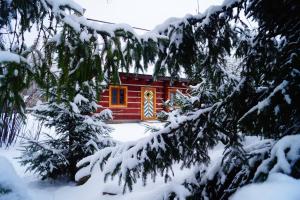 a small cabin in the snow with snow covered trees at Smolnikowe Klimaty - Chyżula - Sauna&Jacuzzi in Komańcza