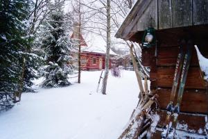 a log cabin in the snow with skis on it at Smolnikowe Klimaty - Chyżula in Komańcza