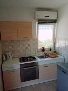 Kuchyň nebo kuchyňský kout v ubytování Apartmani Jasna