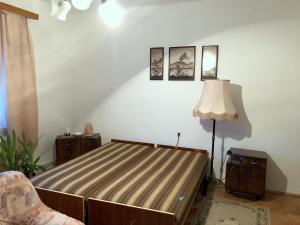 um quarto com uma cama e um candeeiro em Elvira Vendégház em Kisbodak
