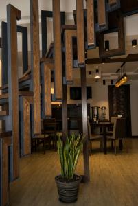 Ristorante o altro punto ristoro di R&R Hotel