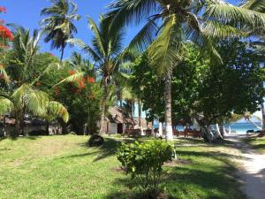 Garden sa labas ng Coconut Village Beach Resort