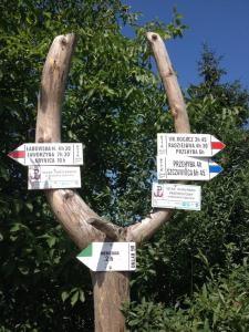 a tree with signs on it in front of trees at Willa Rytro dom wakacyjny w górach do wynajęcia na wyłączność dla 15 osób in Rytro
