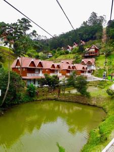 ein großer Teich vor einem Haus in der Unterkunft Apartamento China Park in Domingos Martins