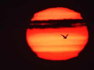O pôr ou nascer do sol visto da casa de hóspedes ou dos arredores