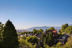산 경관 또는 게스트하우스에서 바라본 산 전망