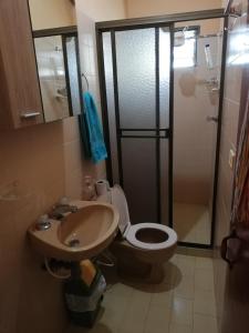 a bathroom with a toilet and a sink and a shower at Mi Jardin Encantado in Jardin