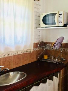 a kitchen with a sink and a microwave at El mirador de estrellas in Santa Rosa de Calamuchita