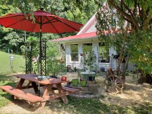 Blue Ridge Manor Bed and Breakfast في Fancy Gap: طاولة نزهة ومظلة أمام المنزل