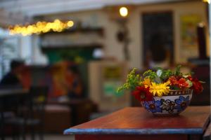 Foto dalla galleria di Timbuktu Hostel a San Vito lo Capo