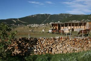 a group of animals standing around a pile of wood at Gîte Equisud - Demi-pension inclus in Les Angles