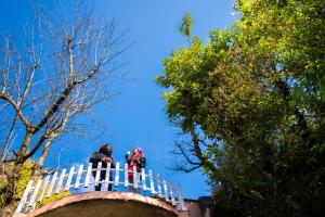 two people standing on top of a white fence at Zostel Plus Mussoorie- Kempty in Mussoorie
