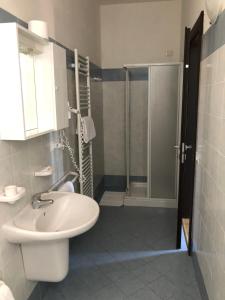 a bathroom with a sink and a shower at Agriturismo Pomod’oro in Torre San Patrizio