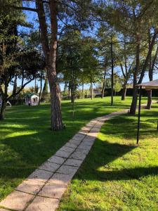 Torre San Patrizio的住宿－Agriturismo Pomod’oro，树木繁茂的公园中的石头路径