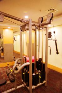 einen Fitnessraum mit einer Kraftmaschine in einem Zimmer in der Unterkunft New Garden Hotel in Diyarbakır