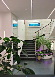 a lobby with stairs and potted plants in a building at Brigantina Hotel in Khabarovsk