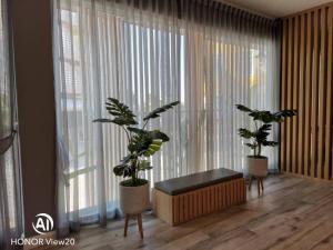 ナコンサワンにあるGrand Hill Resort and Spaの大きな窓の前に鉢植えの植物が2本ある部屋