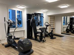 Fitness centrum a/nebo fitness zařízení v ubytování Hotel City Inn Basel
