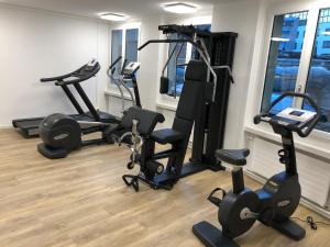Fitness centrum a/nebo fitness zařízení v ubytování Hotel City Inn Basel