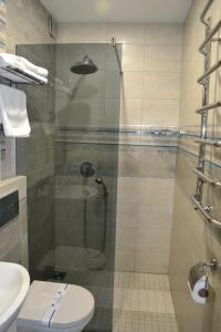 a bathroom with a shower stall and a toilet at Hotel Complex Dvir Kniazhoiy Korony in Slavske